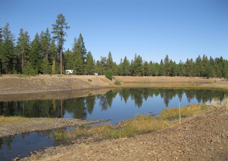 Hilgard Junction State Park, Oregon, USA